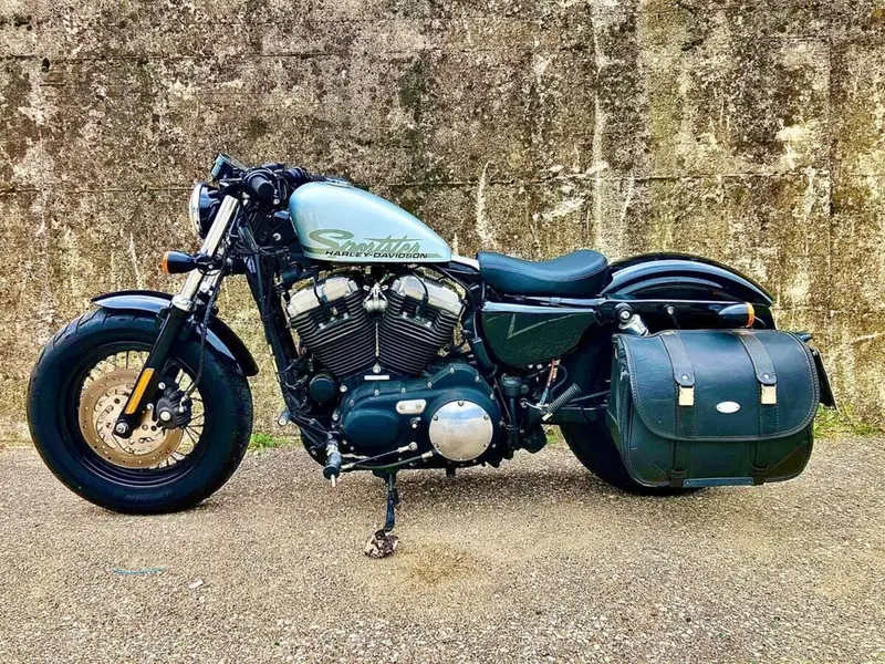 Harley-Davidson 1200 Forty-Eight (2010 - 15) (5)
