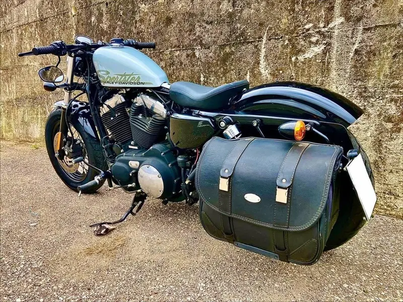 Harley-Davidson 1200 Forty-Eight (2010 - 15) (6)