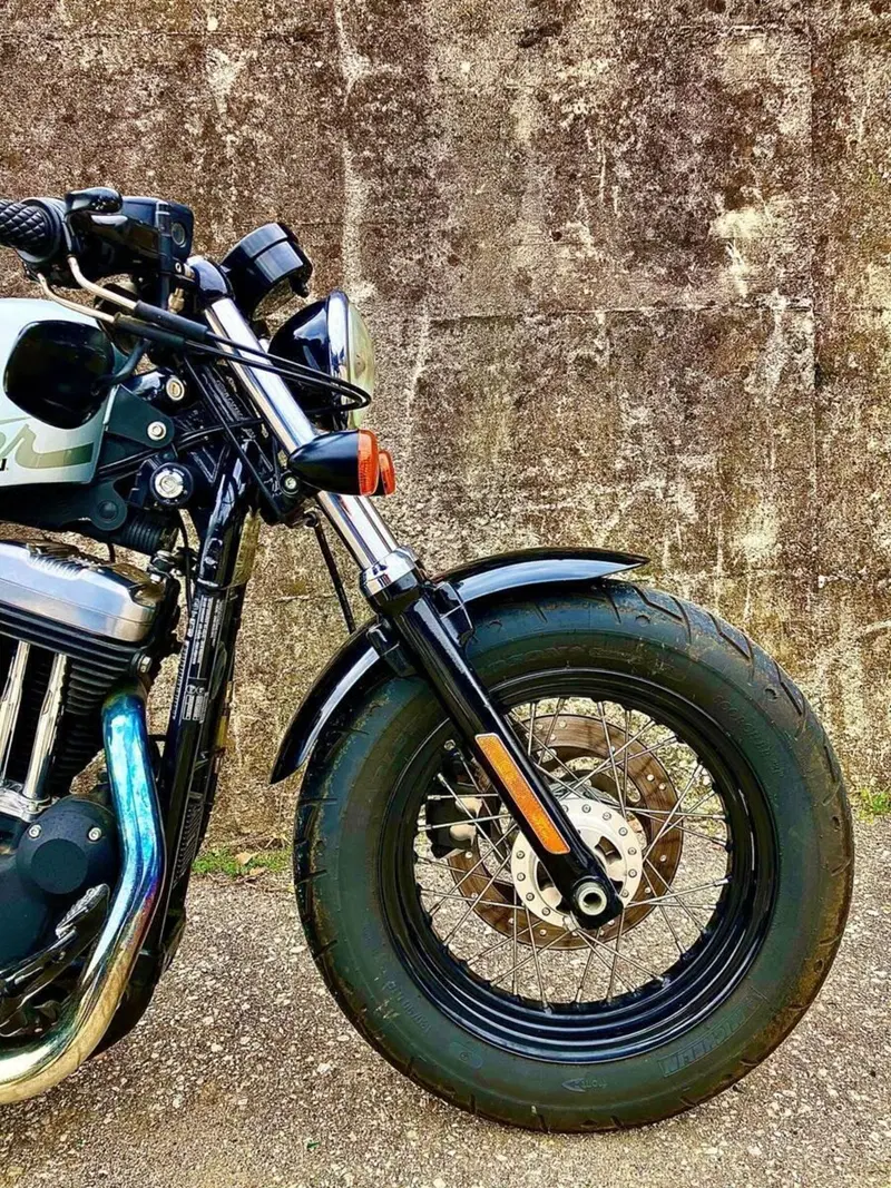 Harley-Davidson 1200 Forty-Eight (2010 - 15) (11)