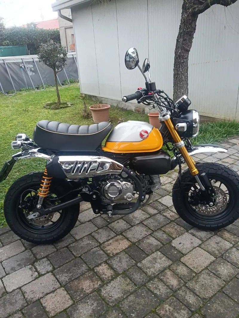 Honda Monkey 125 (2022 - 24) (3)