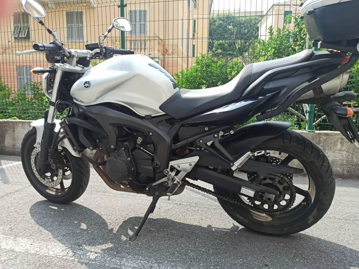 Yamaha FZ6 S2 (2007 - 11) (2)