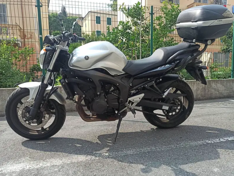 Yamaha FZ6 S2 (2007 - 11) (11)