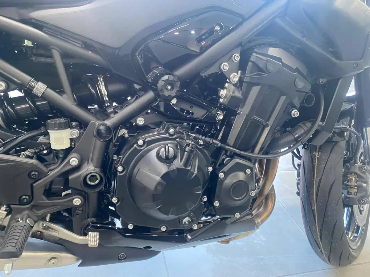 Kawasaki Z 900 (2025 - 26) (11)