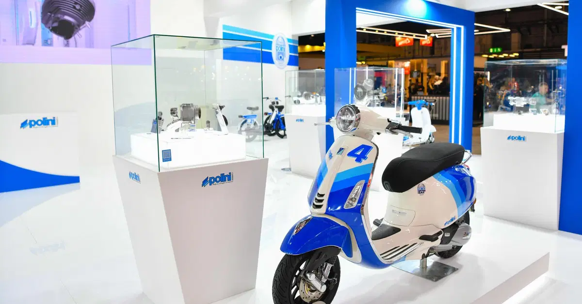 ECM Polini per Vespa e Liberty 50 Euro 5