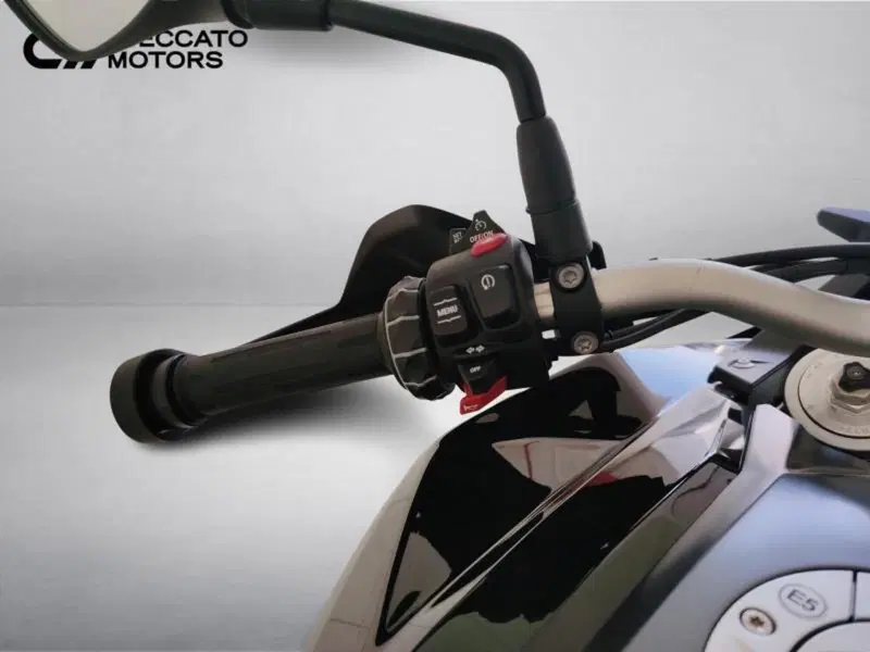 Bmw F 900 GS (2024 - 26) (9)