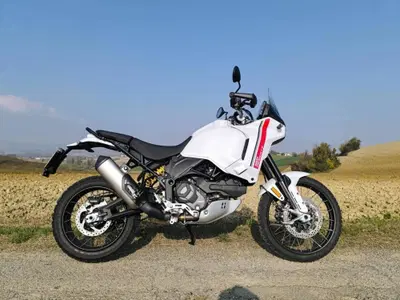 Ducati DesertX (2022 - 25) usata