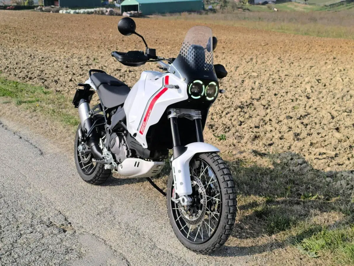 Ducati DesertX (2022 - 25) (8)