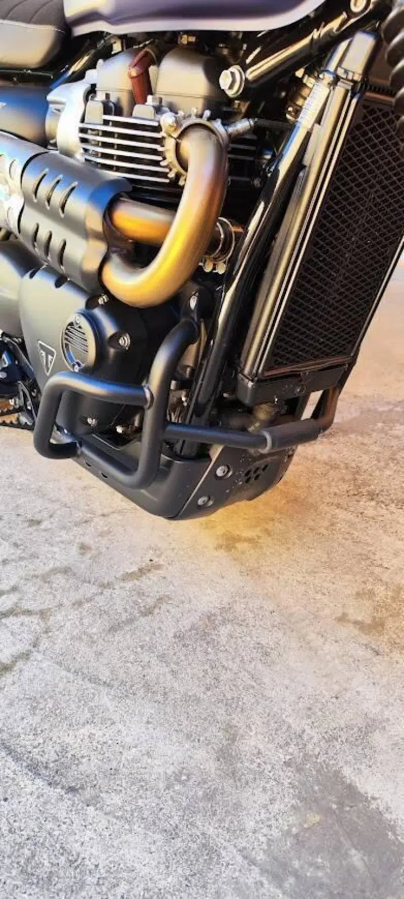 Triumph Street Scrambler 900 Gold Line Edition (2021 - 23) (7)