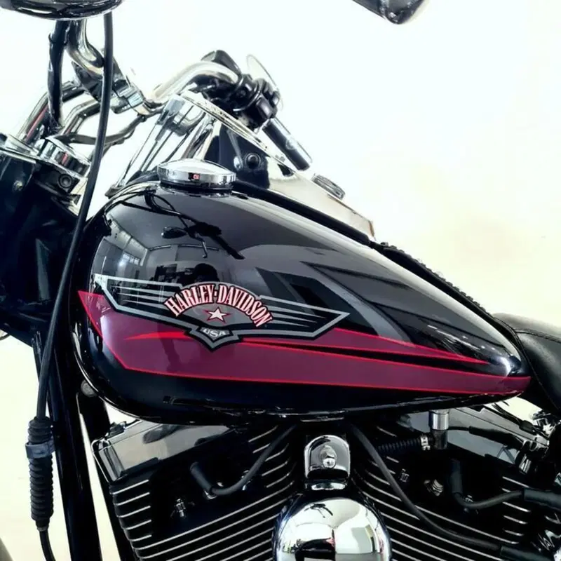 Harley-Davidson 1584 Fat Boy (2006 - 07) - FLSTF (11)