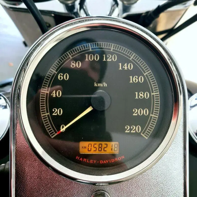 Harley-Davidson 1584 Fat Boy (2006 - 07) - FLSTF (6)