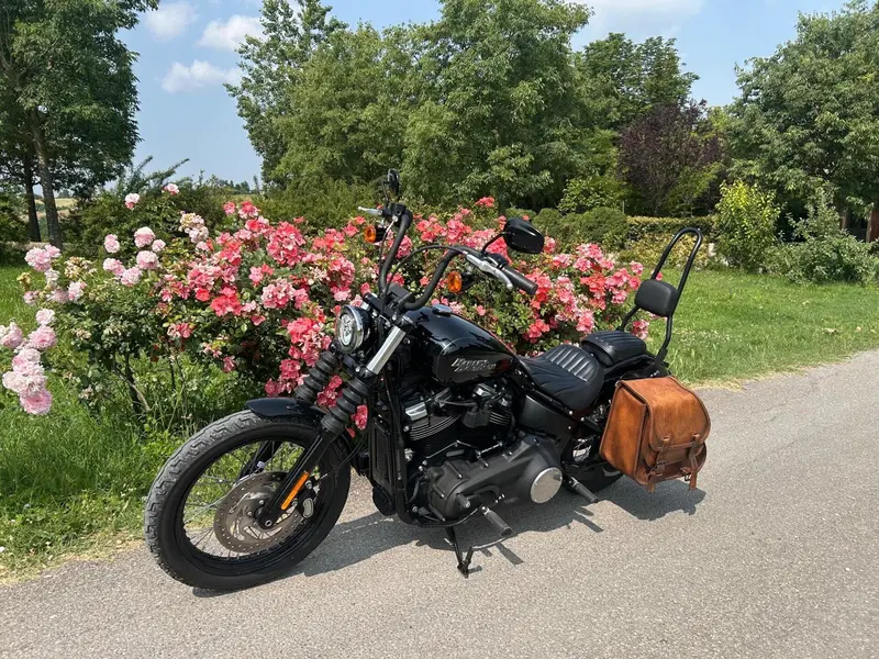Harley-Davidson 107 Street Bob (2018 - 20) - FXBB