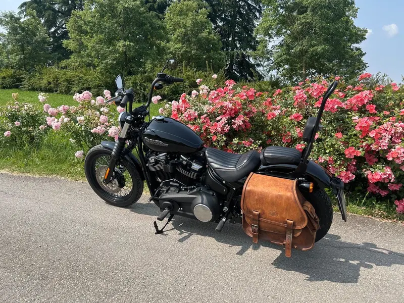 Harley-Davidson 107 Street Bob (2018 - 20) - FXBB (3)