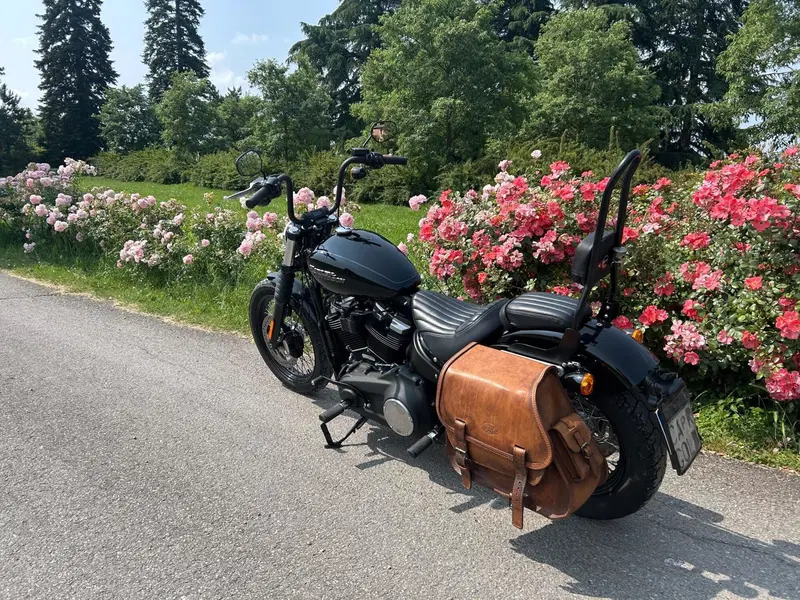 Harley-Davidson 107 Street Bob (2018 - 20) - FXBB (4)