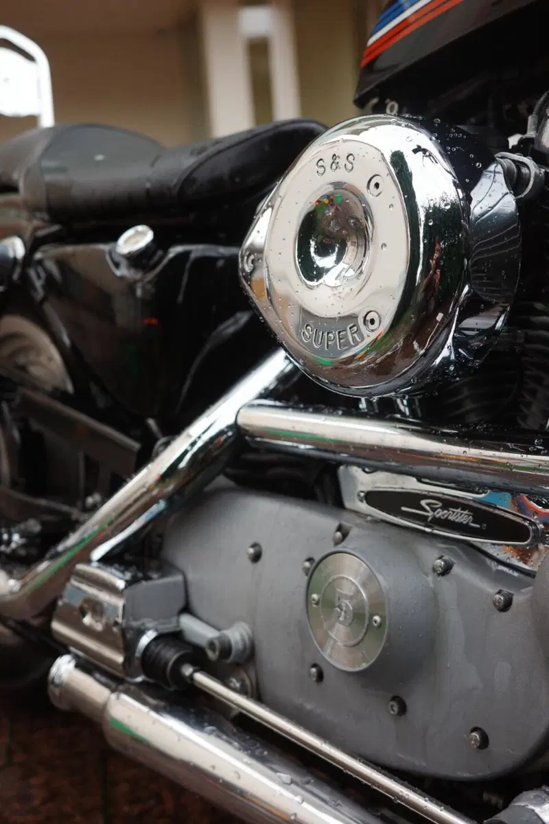Harley-Davidson 883 Custom (2001 - 05) - XL 53C (5)
