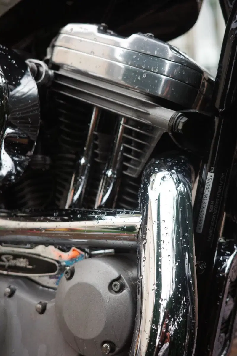 Harley-Davidson 883 Custom (2001 - 05) - XL 53C (6)