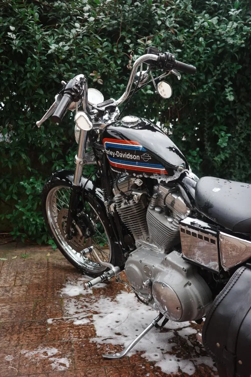 Harley-Davidson 883 Custom (2001 - 05) - XL 53C (7)