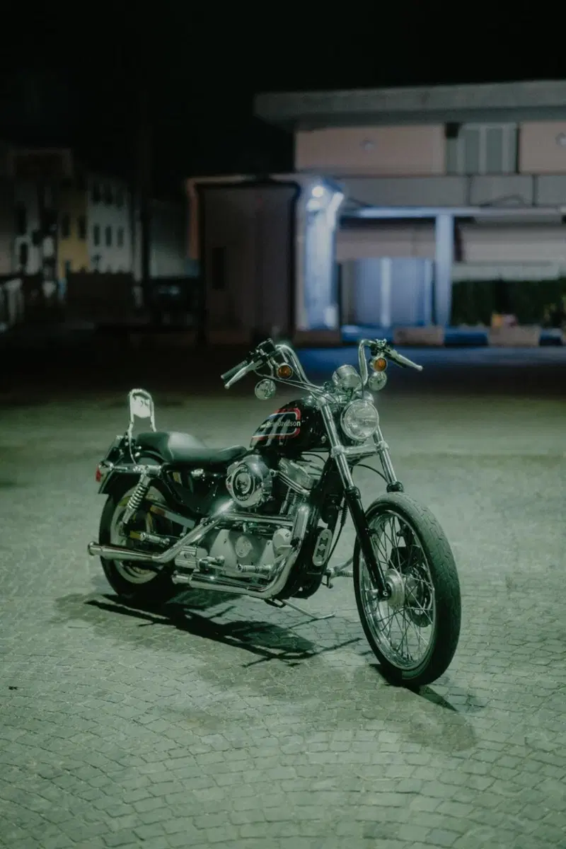 Harley-Davidson 883 Custom (2001 - 05) - XL 53C (8)