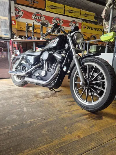 Harley-Davidson 883 Standard (2001 - 05) - XL 883 usata