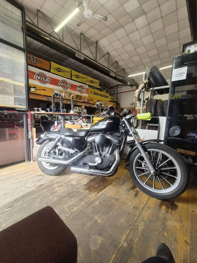 Harley-Davidson 883 Standard (2001 - 05) - XL 883 (3)