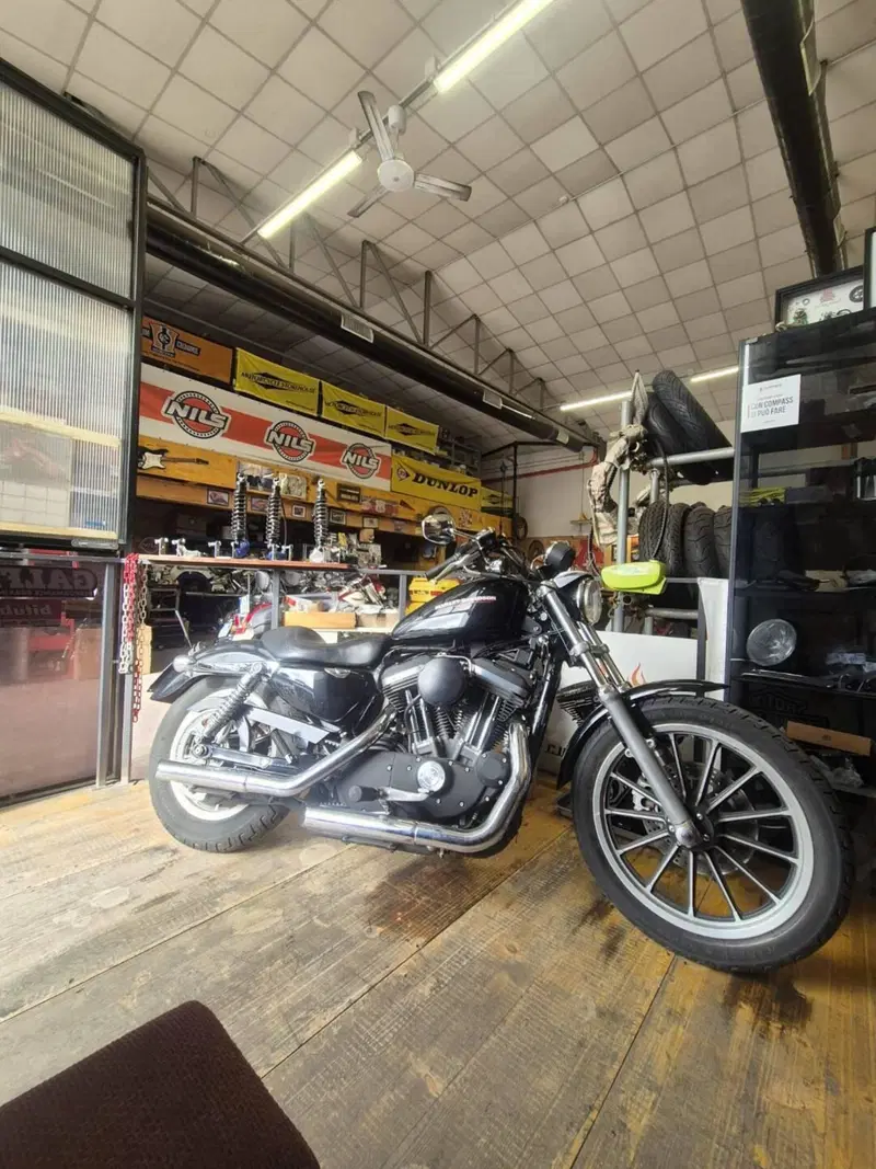 Harley-Davidson 883 Standard (2001 - 05) - XL 883 (4)