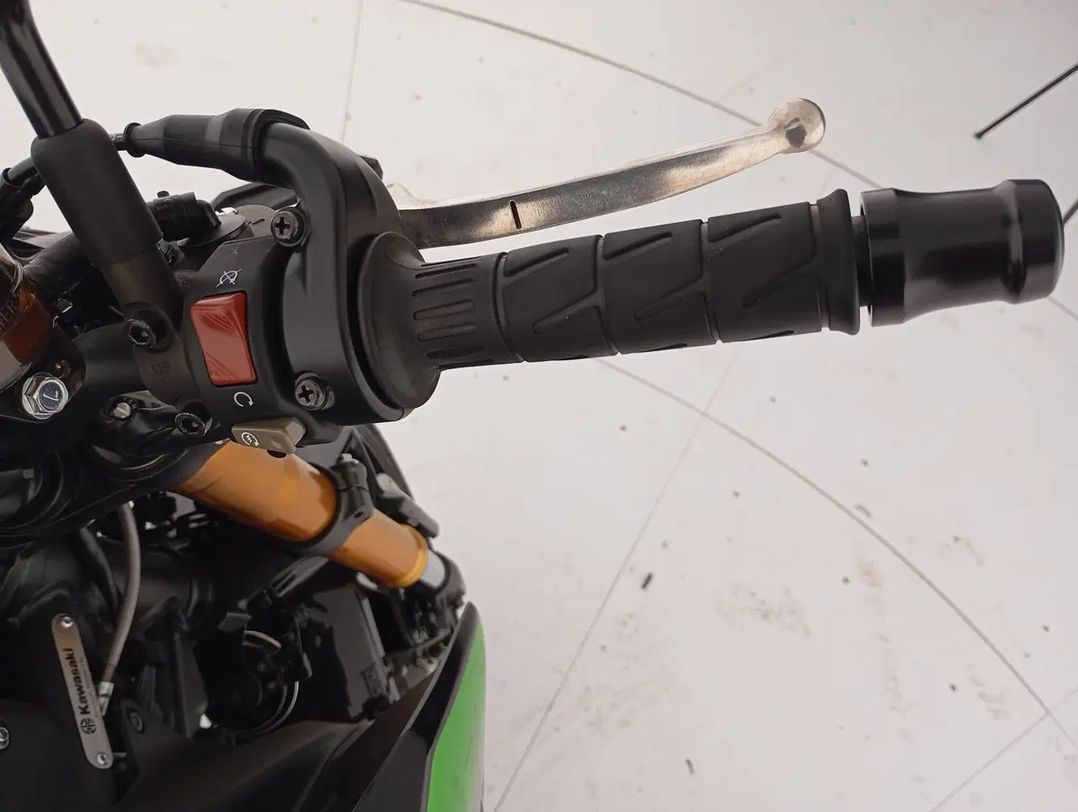 Kawasaki Z 900 SE (2022 - 24) (13)