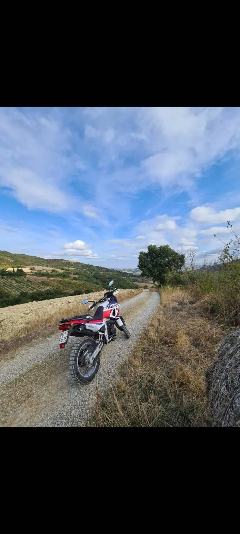 Aprilia Pegaso 650 (1991 - 96) (3)