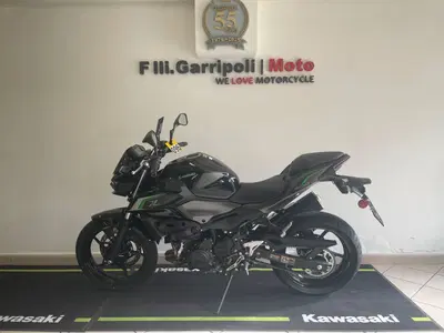 Kawasaki Z 500 (2024 - 26) usata