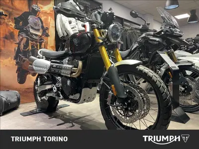 Triumph Scrambler 1200 XE (2024 - 25) usata