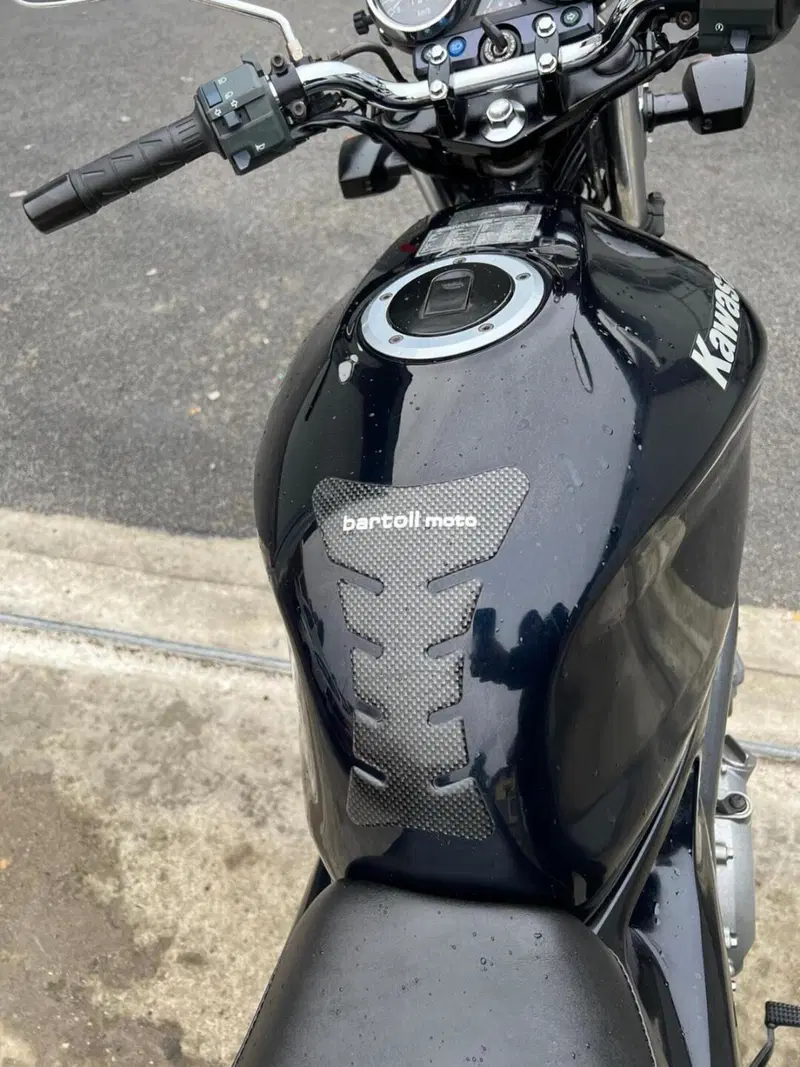 Kawasaki ER-5 500 (2001 - 06) (9)