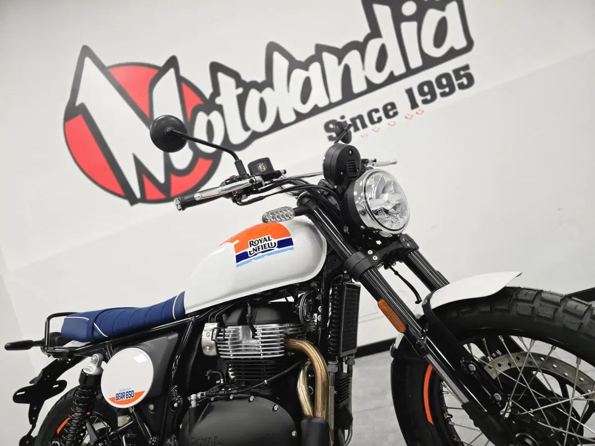Royal Enfield Bear 650 (2025 - 26) (2)