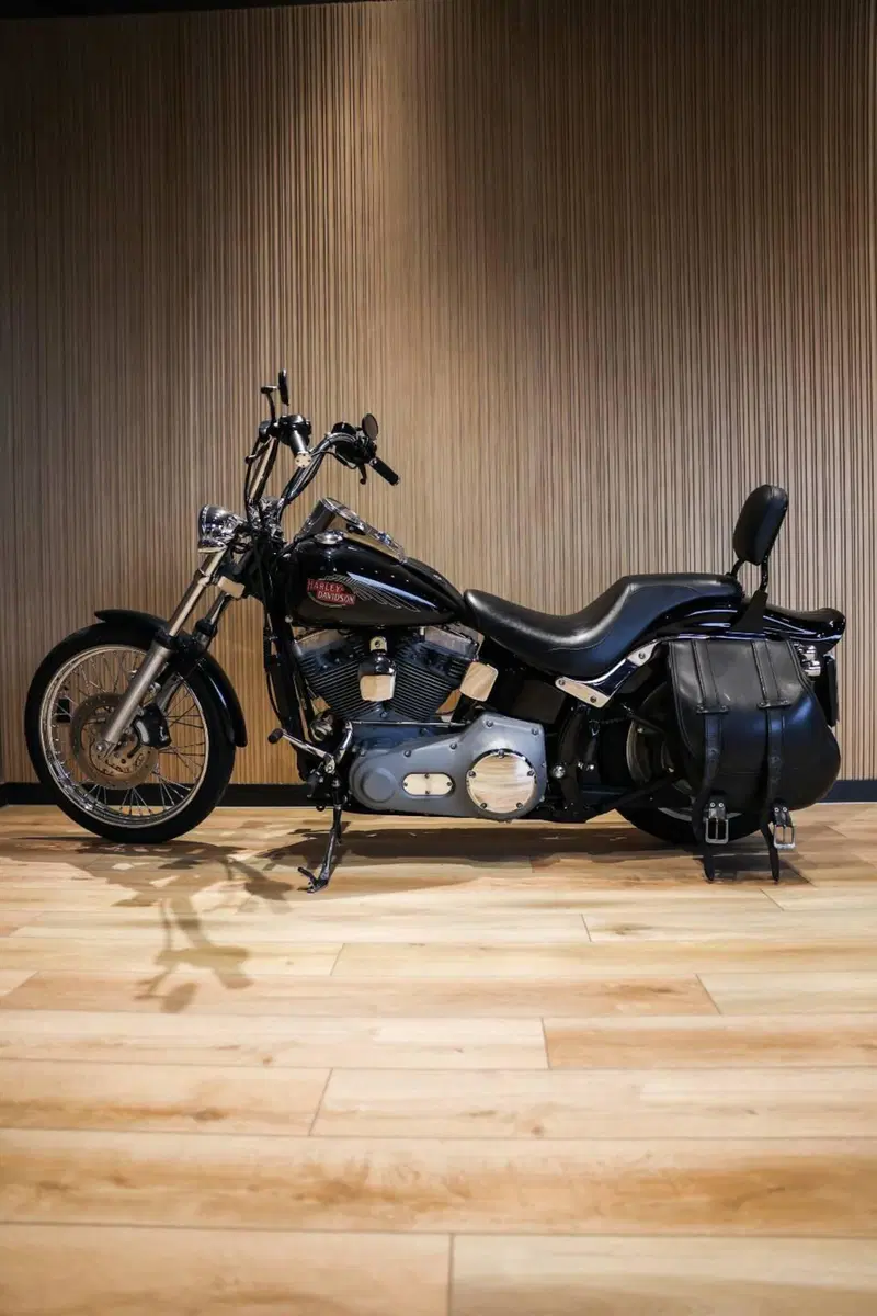 Harley-Davidson 1450 Standard (2002 - 05) - FXSTI (2)