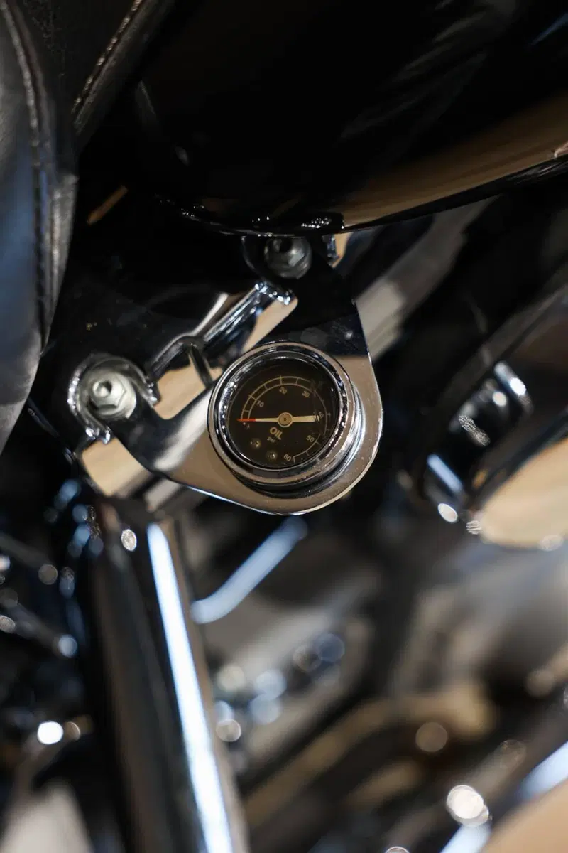 Harley-Davidson 1450 Standard (2002 - 05) - FXSTI (9)