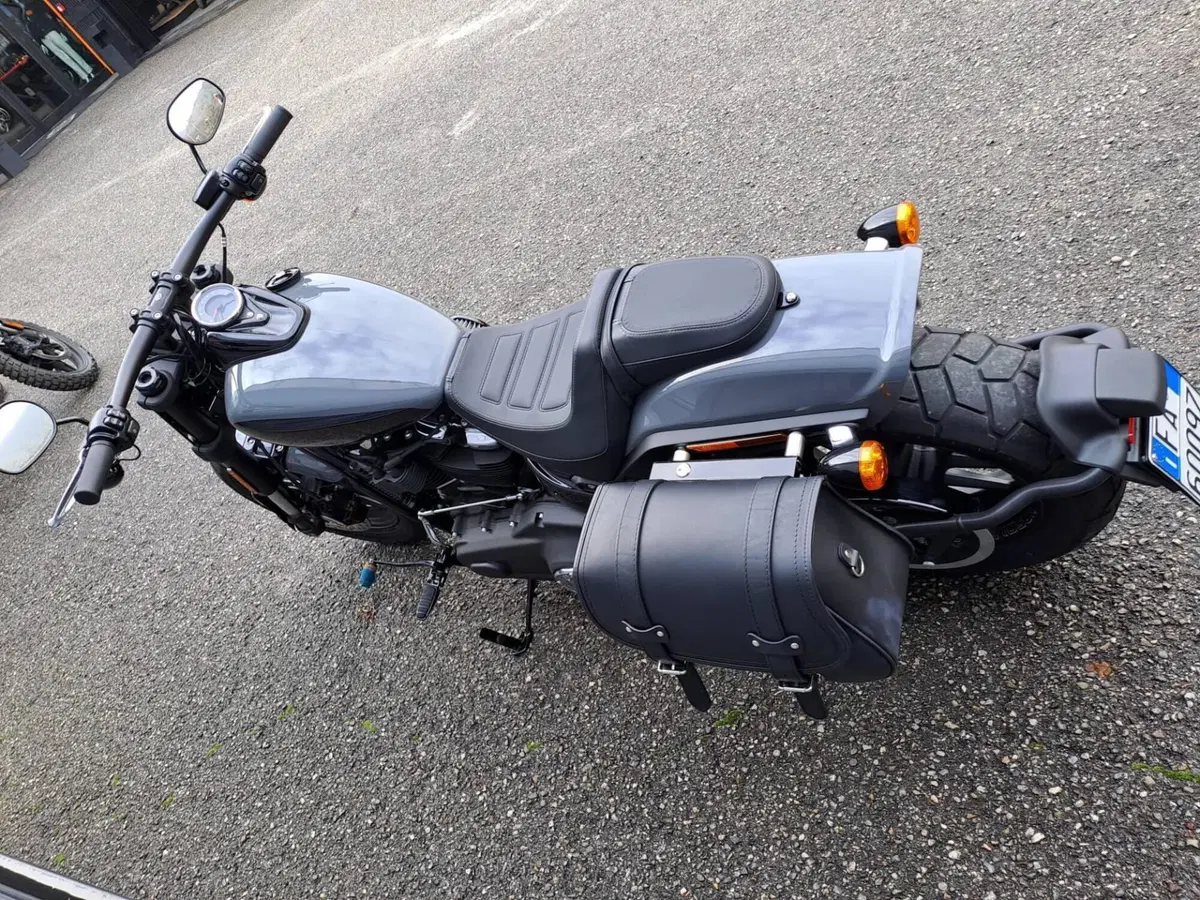 Harley-Davidson Fat Bob 114 (2021 - 25) (4)