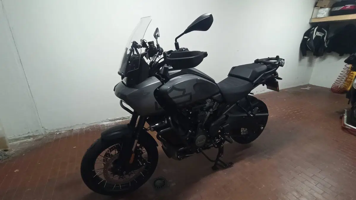 Harley-Davidson Pan America 1250 Special (2020 - 25) (9)