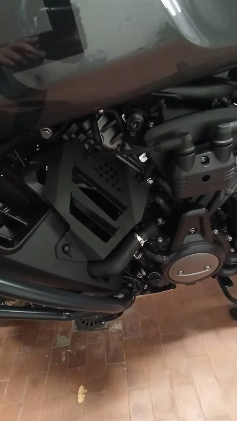 Harley-Davidson Pan America 1250 Special (2020 - 25) (11)