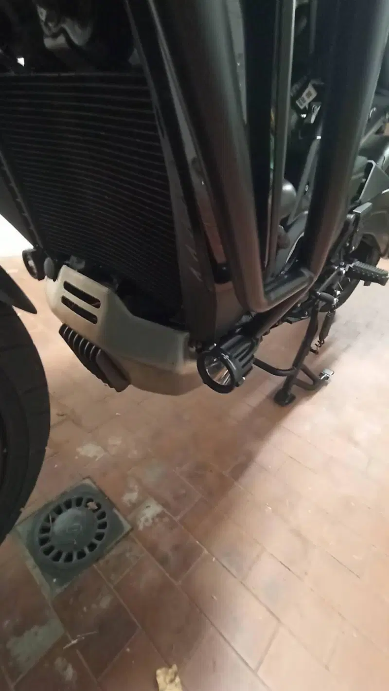 Harley-Davidson Pan America 1250 Special (2020 - 25) (12)