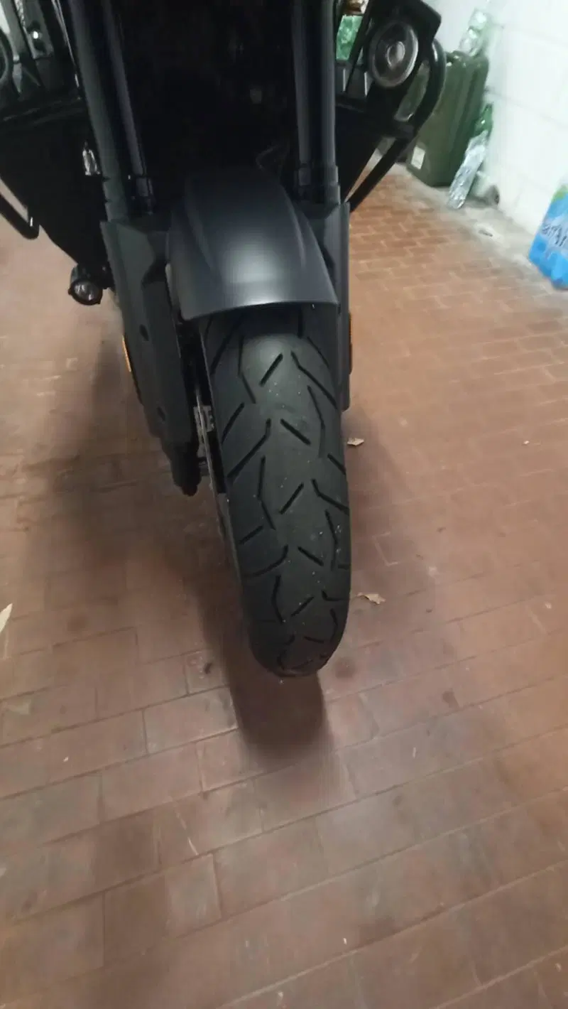 Harley-Davidson Pan America 1250 Special (2020 - 25) (13)