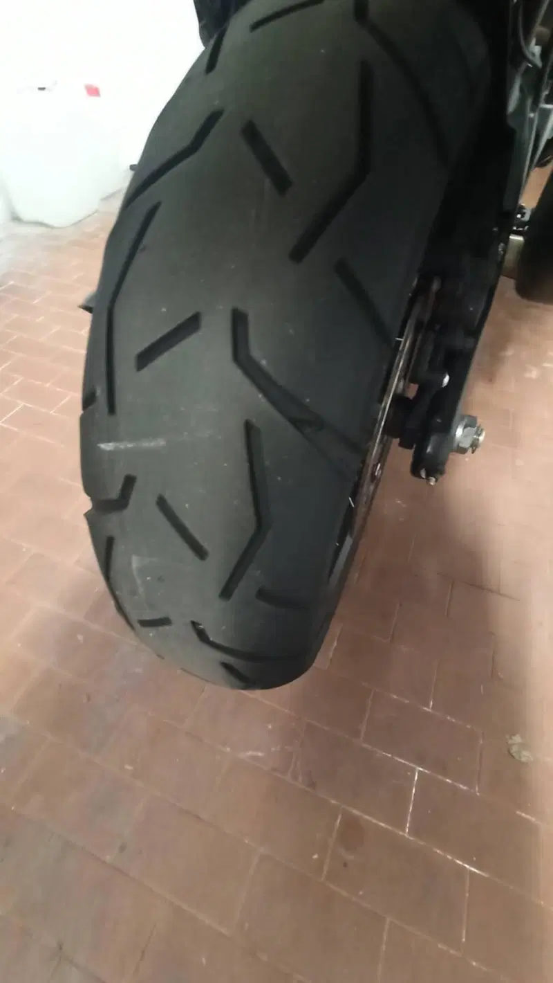 Harley-Davidson Pan America 1250 Special (2020 - 25) (15)