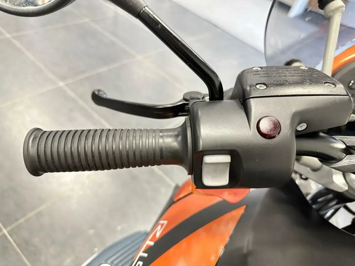 Bmw R 1150 R Rockster (2003 - 06) (8)