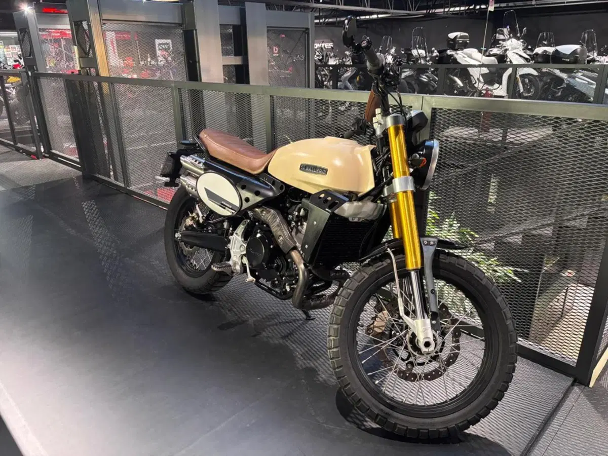 Fantic Motor Caballero 500 Scrambler Deluxe (2021 - 23) (2)