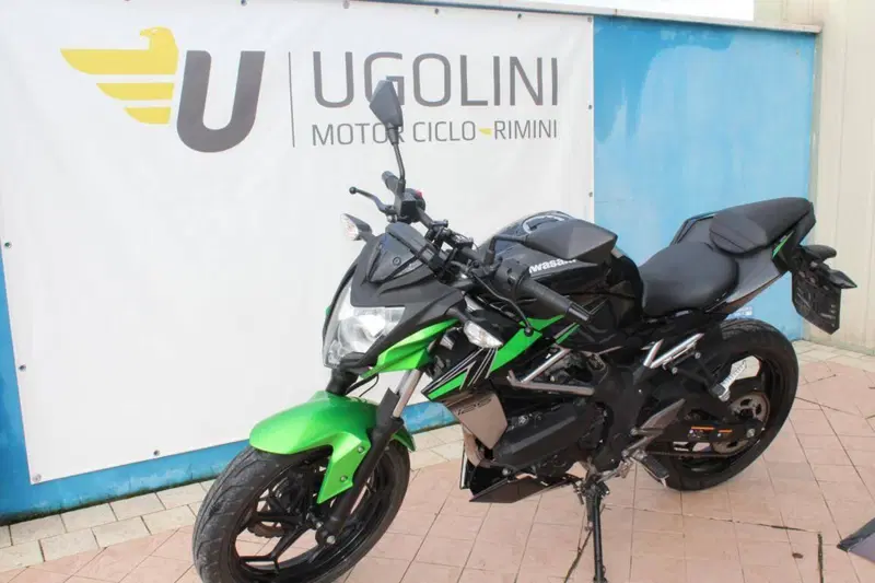 Kawasaki Z 125 (2021 - 24) (3)