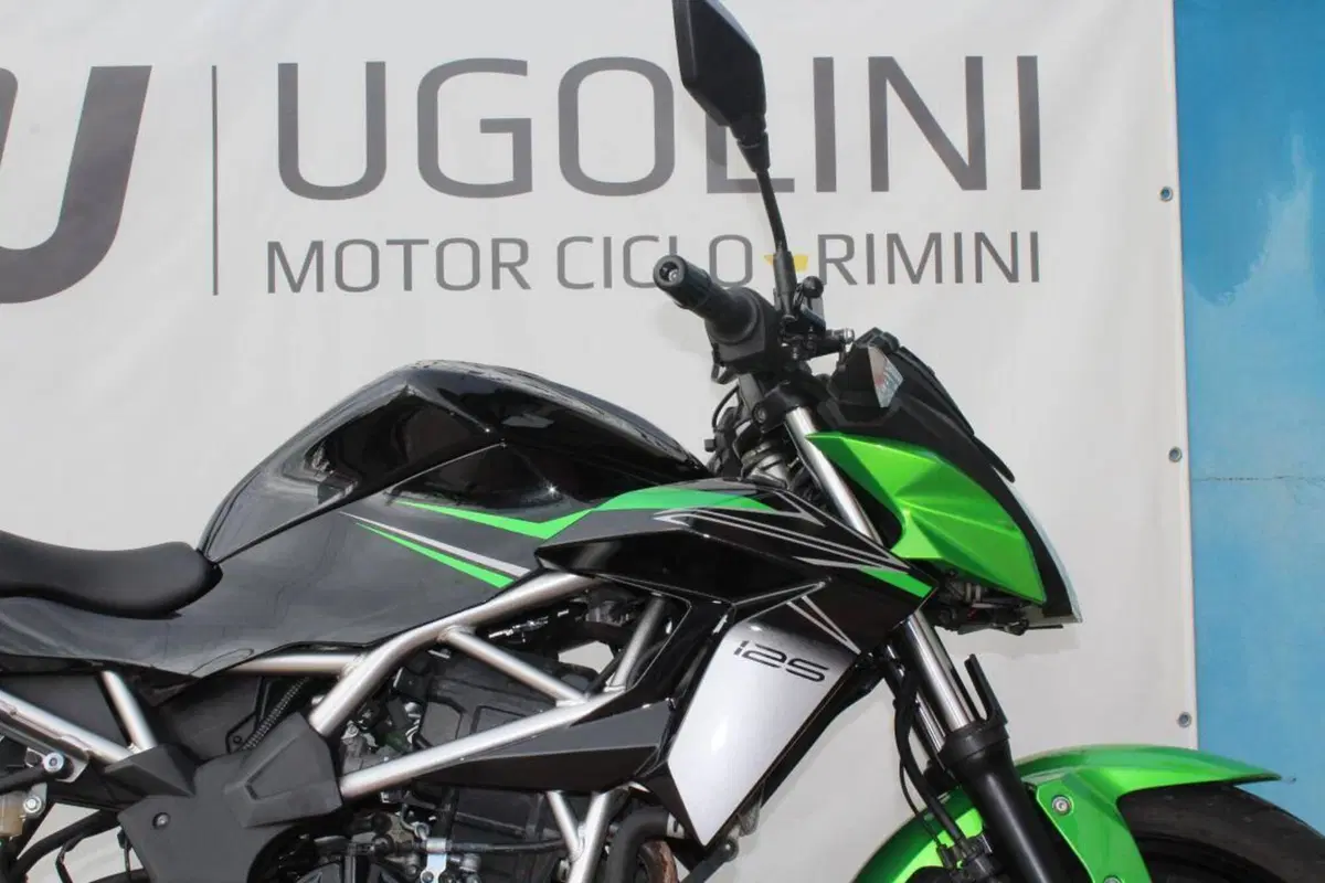 Kawasaki Z 125 (2021 - 24) (6)