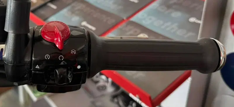 Royal Enfield Goan Classic 350 (2025 - 26) (9)
