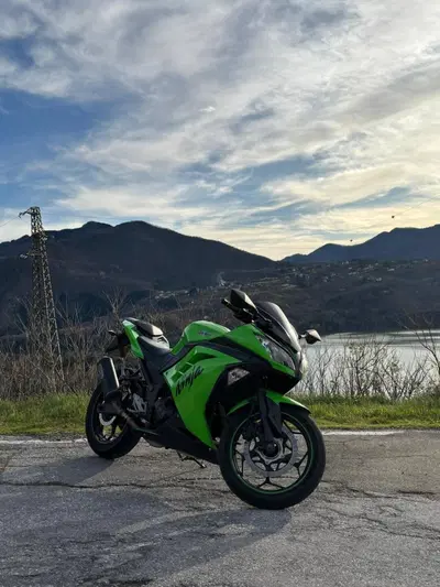 Kawasaki Ninja 300 (2012 - 14) usata