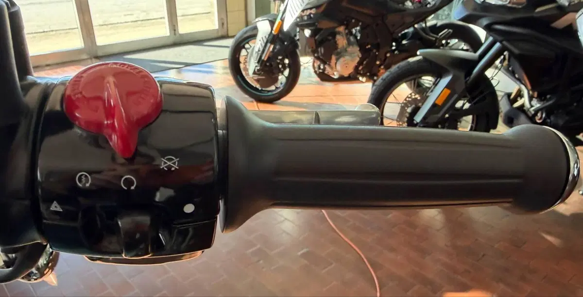 Royal Enfield Himalayan 450 (2024 - 26) (12)