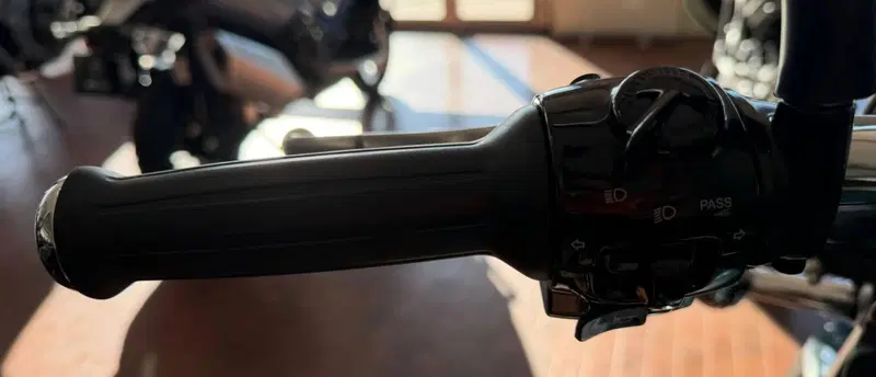 Royal Enfield Himalayan 450 (2024 - 26) (13)