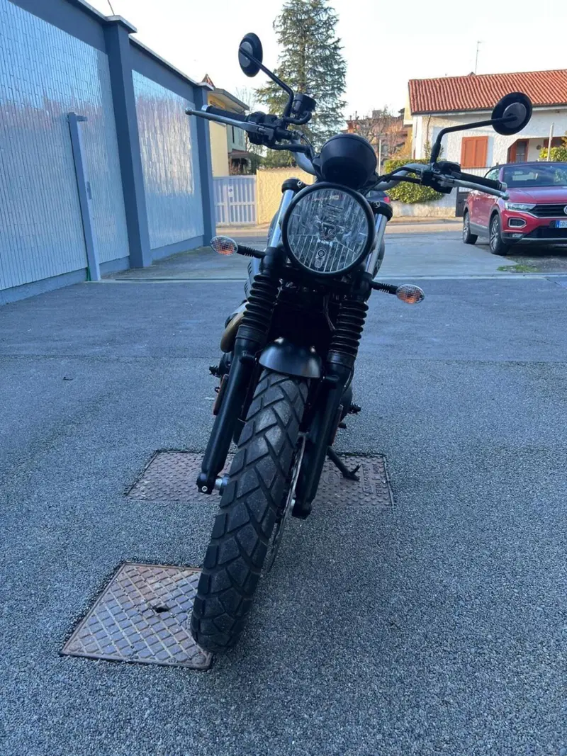 Triumph Scrambler 900 Icon Edition (2025 - 26) (3)