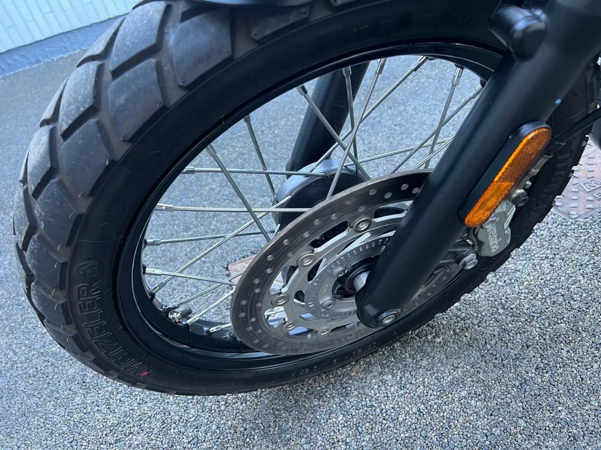 Triumph Scrambler 900 Icon Edition (2025 - 26) (17)