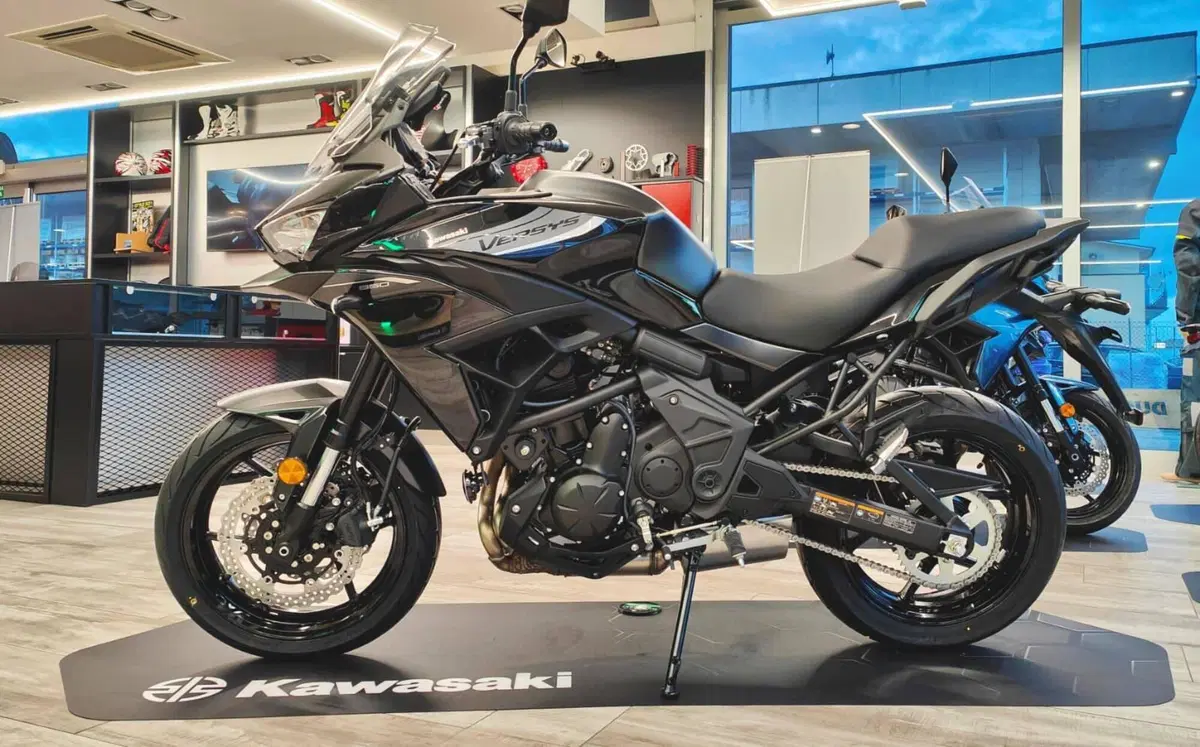 Kawasaki Versys 650 (2025 - 26) (18)