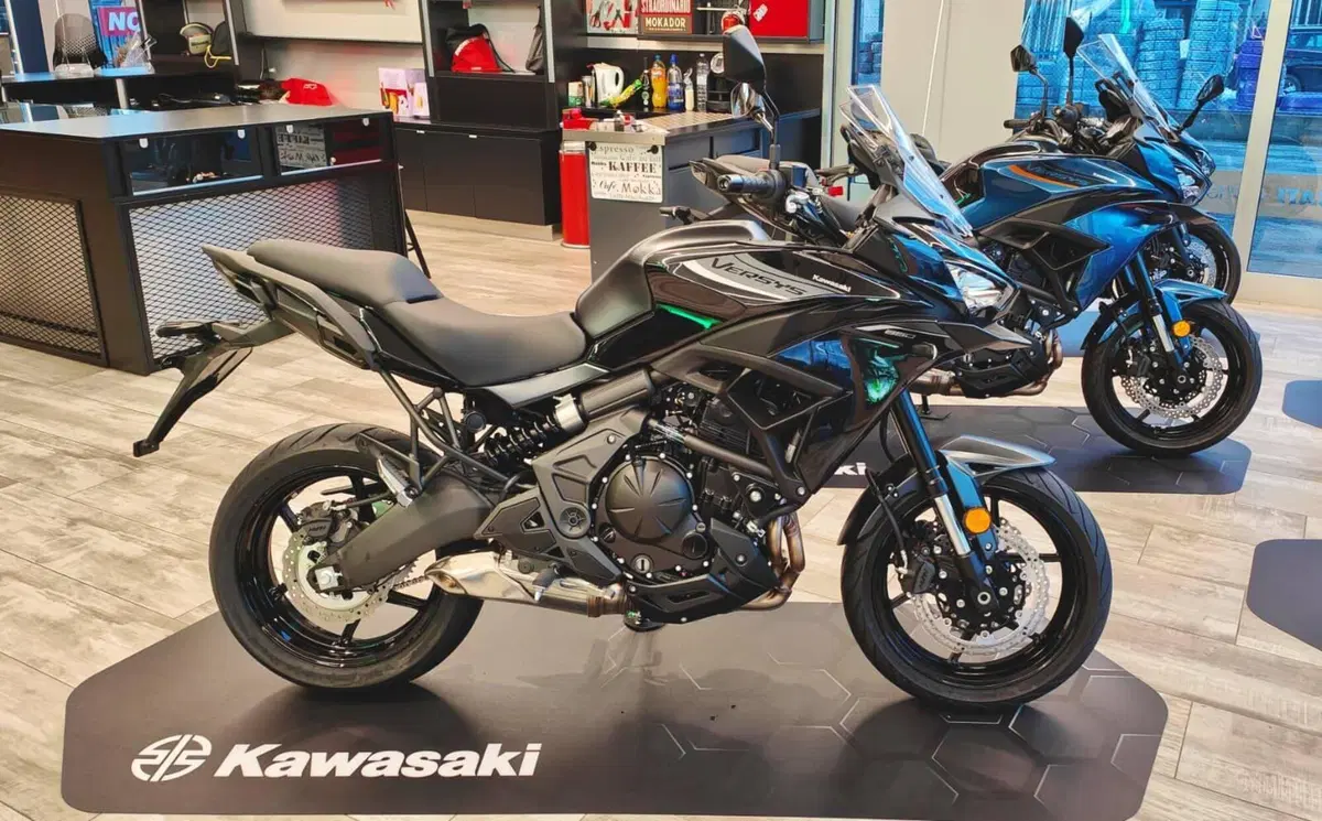 Kawasaki Versys 650 (2025 - 26) (19)